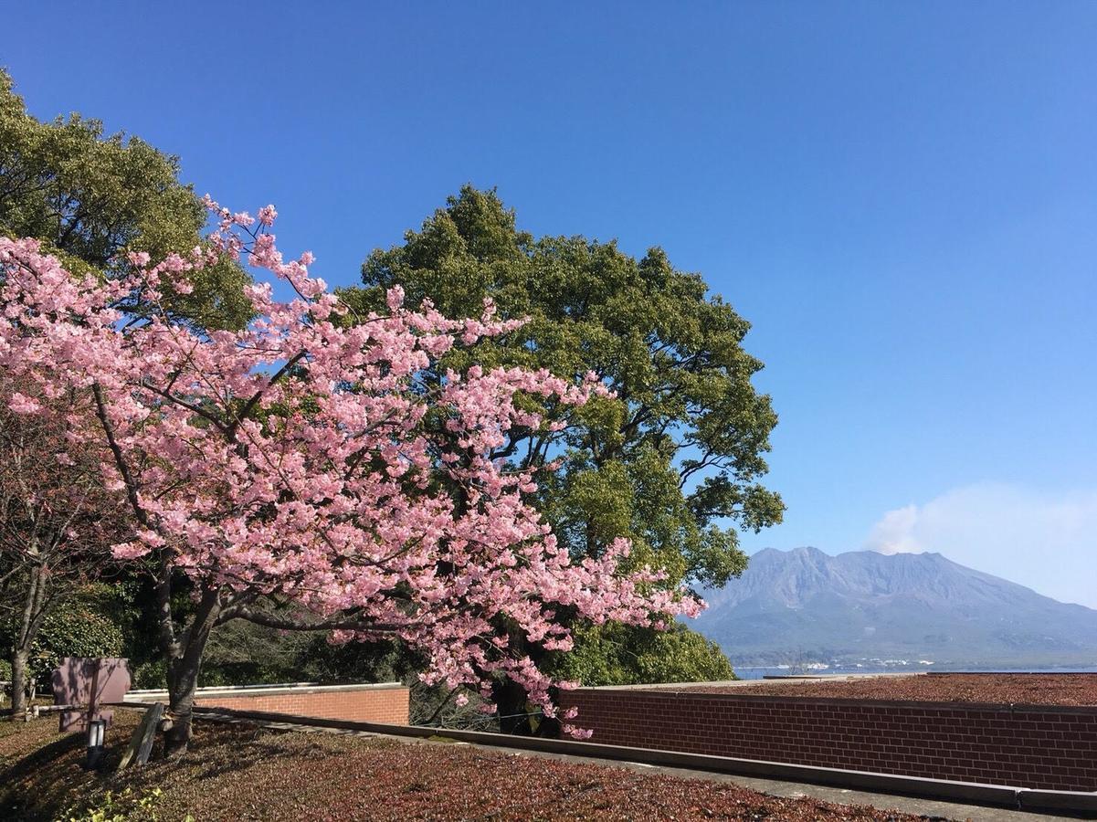 Shiroyama Hotel Kagoshima Exteriör bild